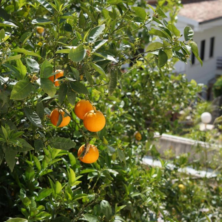 Orizzonte d'acqua Palermo - Appartamento con 1 Camera da Letto - 3
