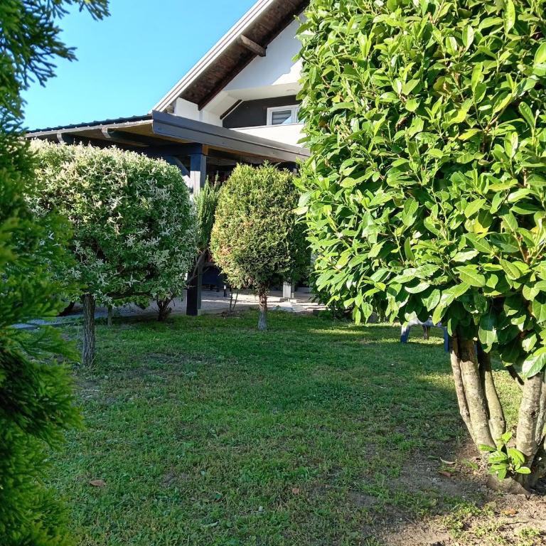 Holiday House White Hill - Villa with Private Pool - 55