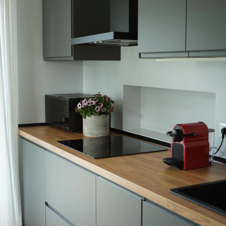 Texlhof - Stella Alpina - Apartment mit 1 Schlafzimmer und Aussicht - 7