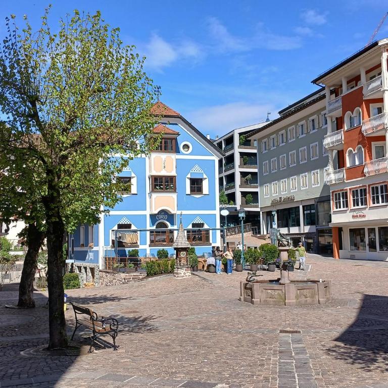 ATI Appartamento stile Chalet dell 800 nel cuore di Ortisei - Appartamento con 2 Camere da Letto - 31