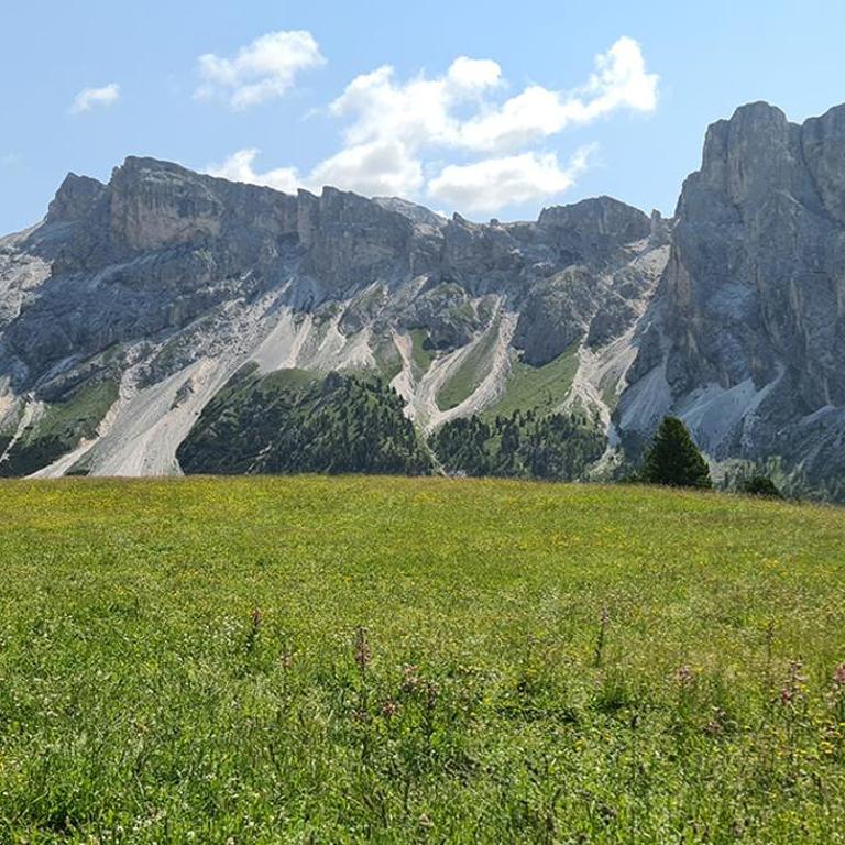 ATI Appartamento stile Chalet dell 800 nel cuore di Ortisei - Appartamento con 2 Camere da Letto - 32