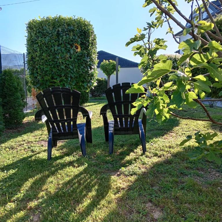 Holiday House White Hill - Villa with Private Pool - 20