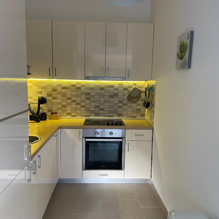Acacia Hill Apartments - Apartman sa 1 Spavaćom Sobom - 7