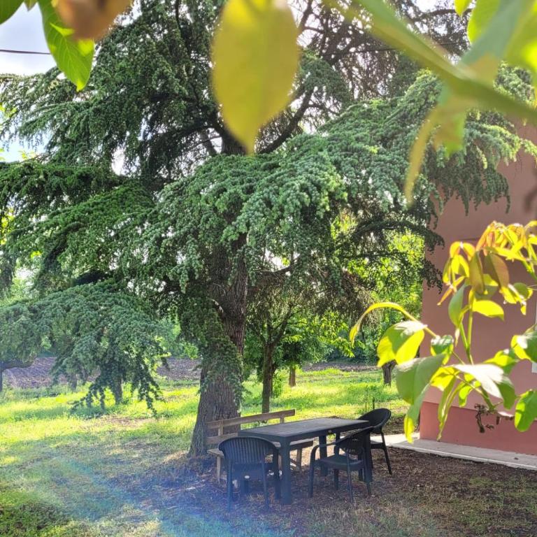 Vila KEDAR sa grejanjem - Two-Bedroom House - 9