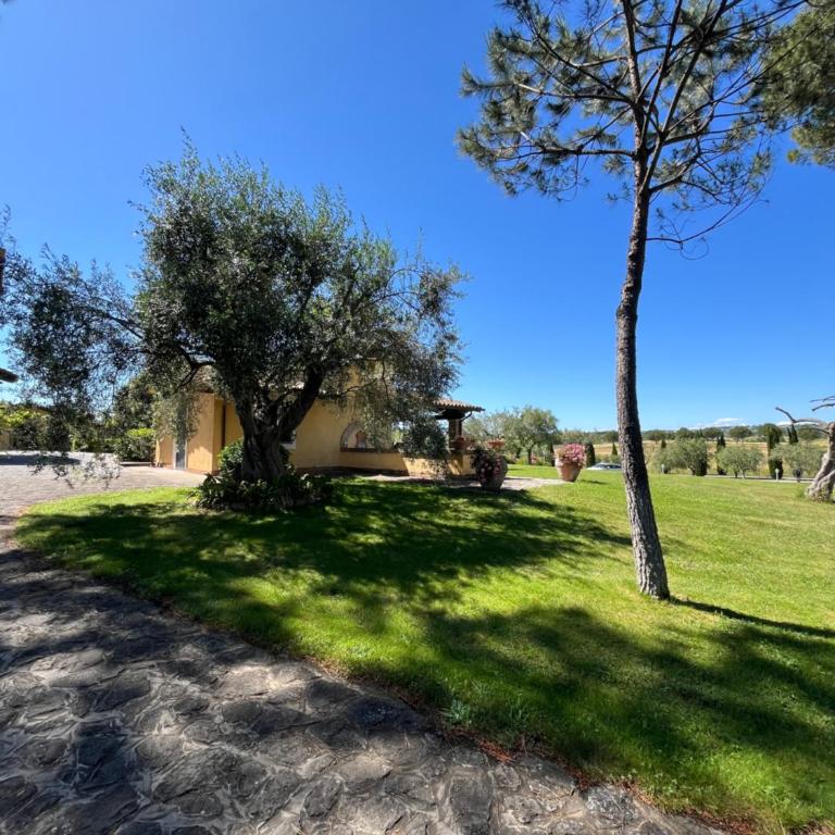 Casale Antica Cassia Luxury & Spa - Casa con 1 Camera da Letto - 20