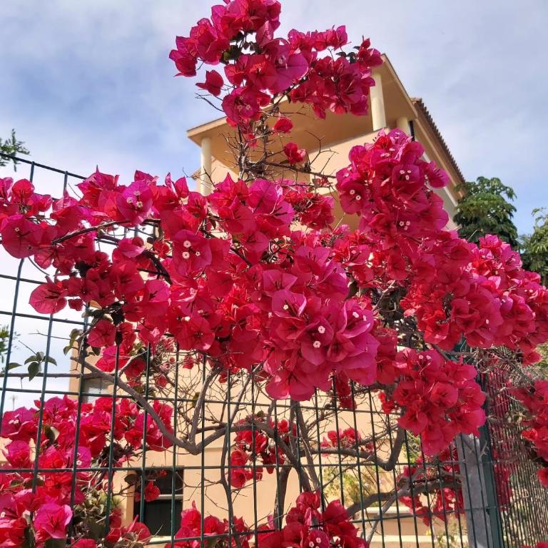 Garden apartment with incredible views in Casa Banderas La Cala de Mijas - Two-Bedroom Apartment - 45