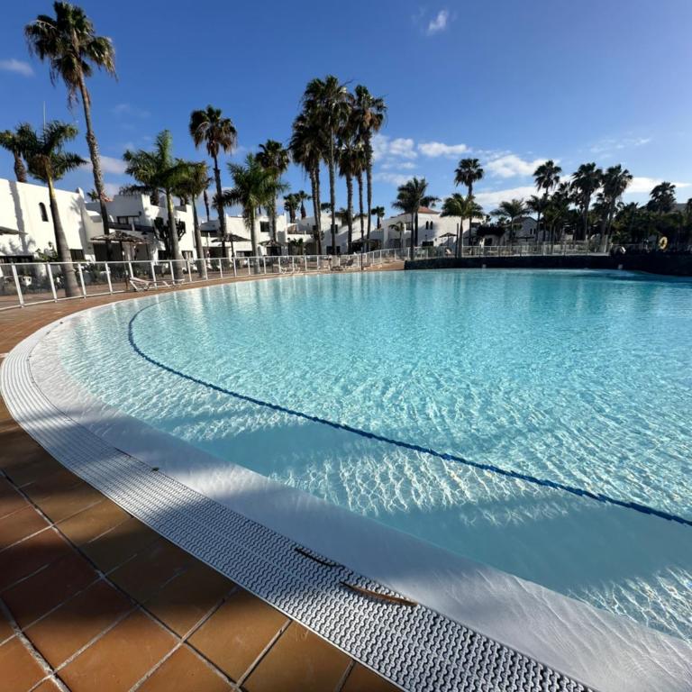 Rosa Oasis Dunas - Apartamento de 1 dormitorio - 1