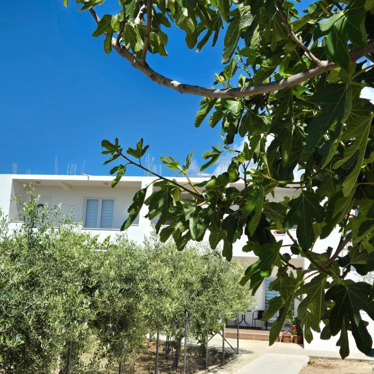 KenDar Family Apartments - Two-Bedroom Apartment - 13