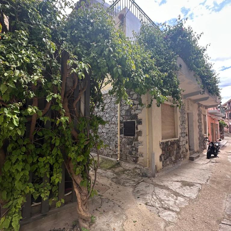 Casa Arborea - Appartamento con 4 Camere da Letto e Balcone - 1