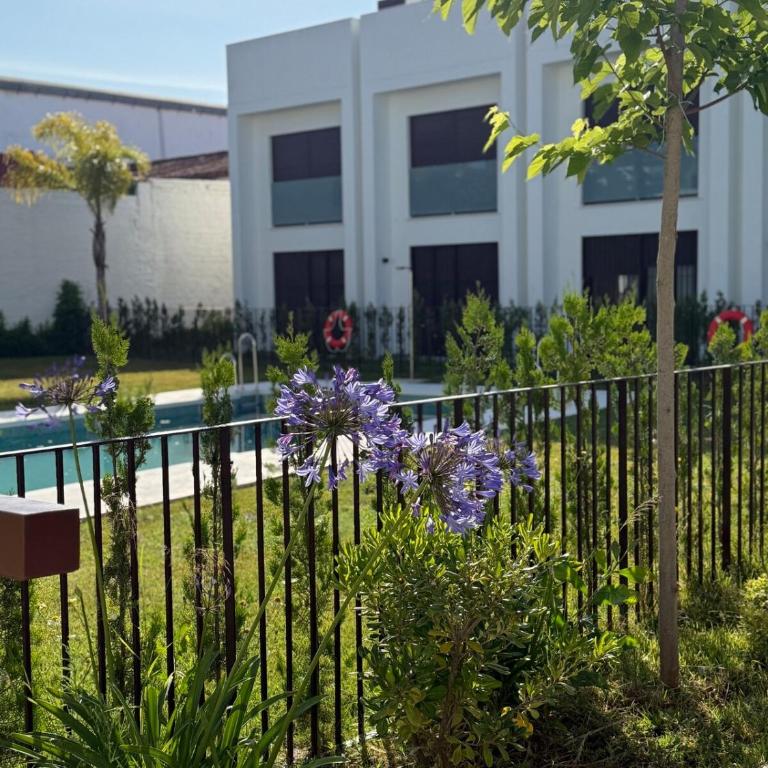 ESPECTACULAR PISO EN PALACIO Preferiblemente familias y mayores de treinta años - Apartamento de 3 dormitorios - 19