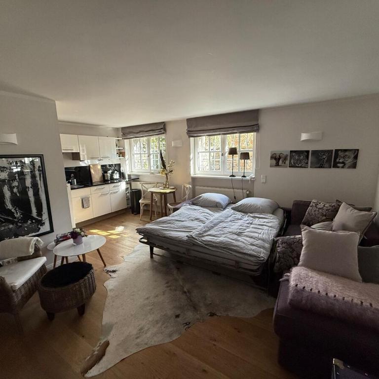 Stylish Garden Apartment in Central Munich - Studio - 4