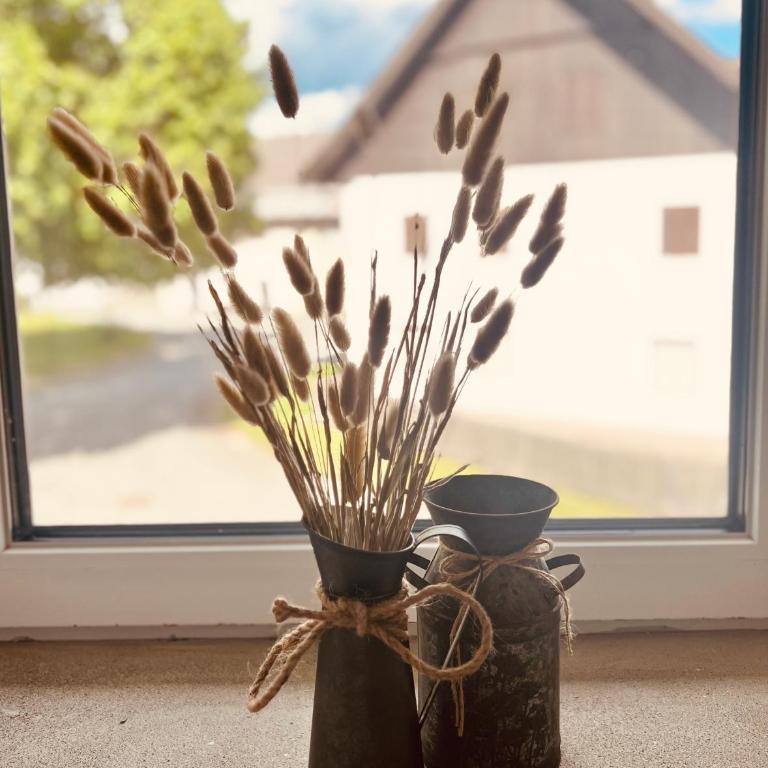 Binter Haus -Rattendorf - Ferienhaus - 30