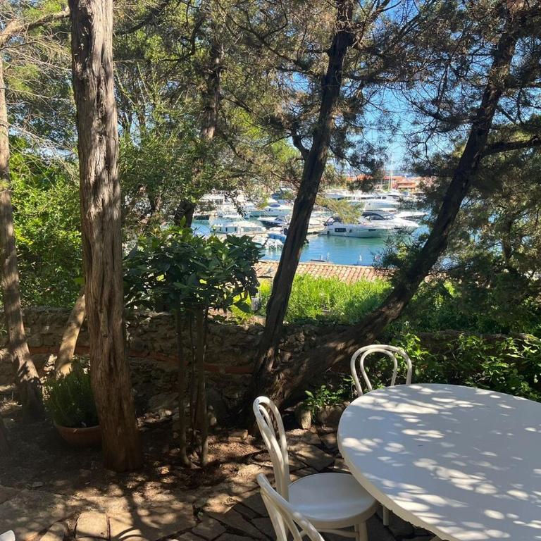 Charming flat in Porto Rotondo with lush garden! - Appartamento con 2 Camere da Letto - 7