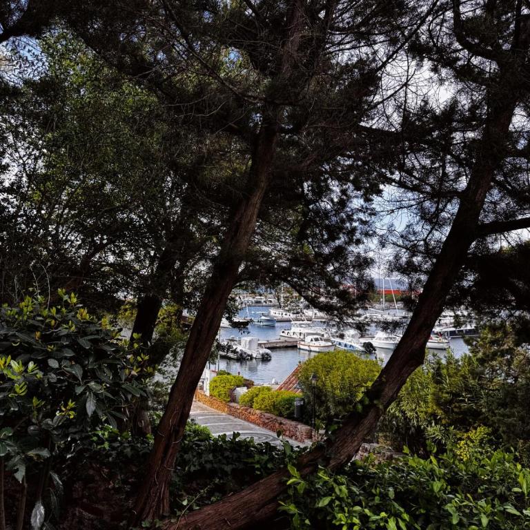 Charming flat in Porto Rotondo with lush garden! - Appartamento con 2 Camere da Letto - 9