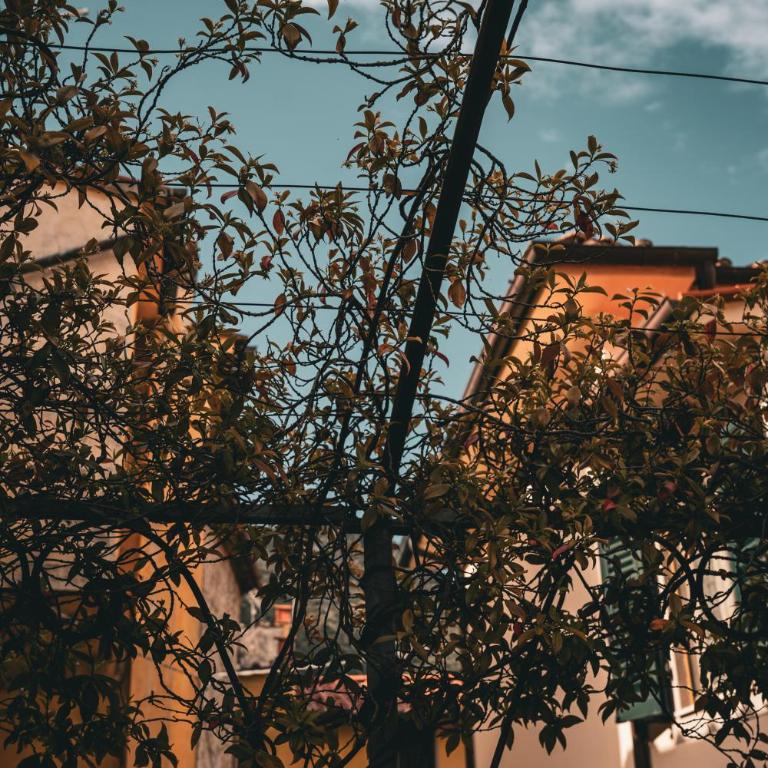 Il Poderino di Marilù - Casa con 2 Camere da Letto - 15