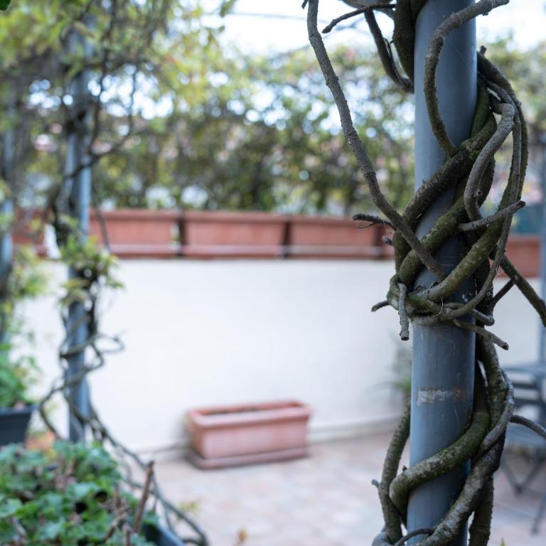 Il Poderino di Marilù - Casa con 2 Camere da Letto - 17
