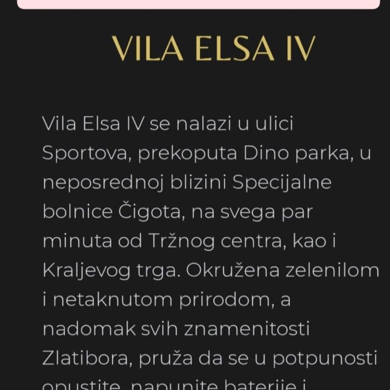 Apartman Đorđević Zlatibor Vila Elsa 4 - One-Bedroom Apartment - 2