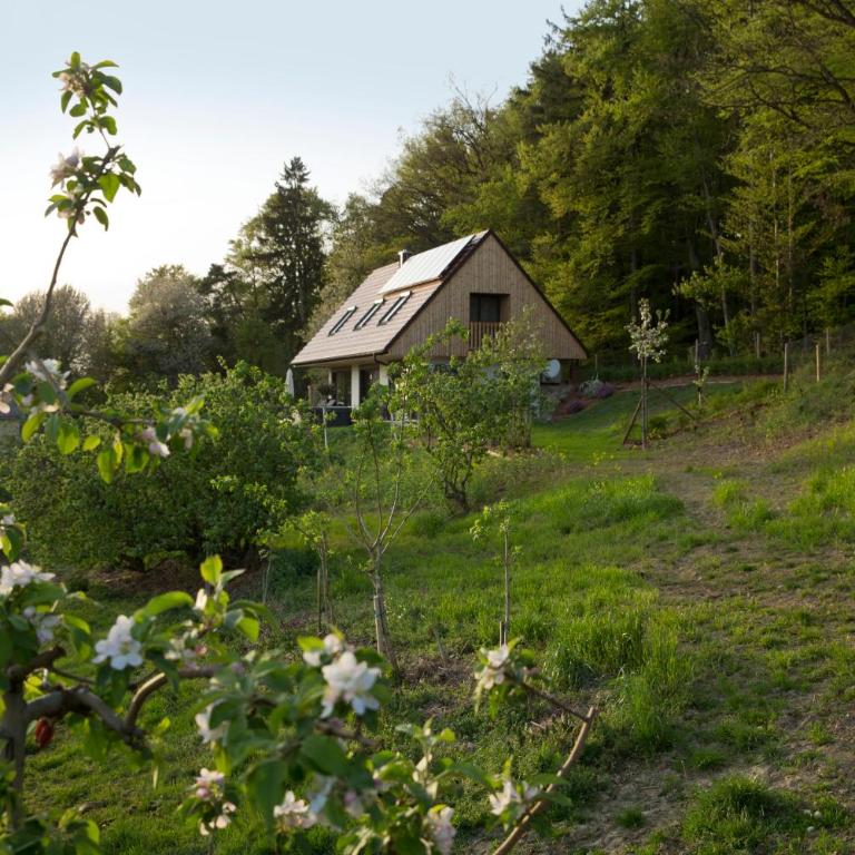 Refugium am Wald - Ferienhaus - 4