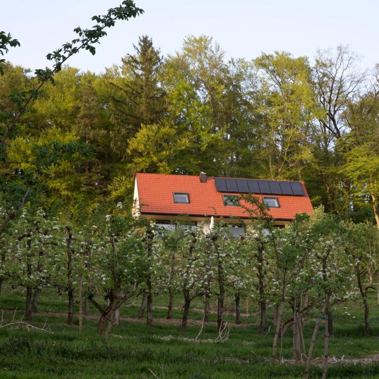 Refugium am Wald - Ferienhaus - 16