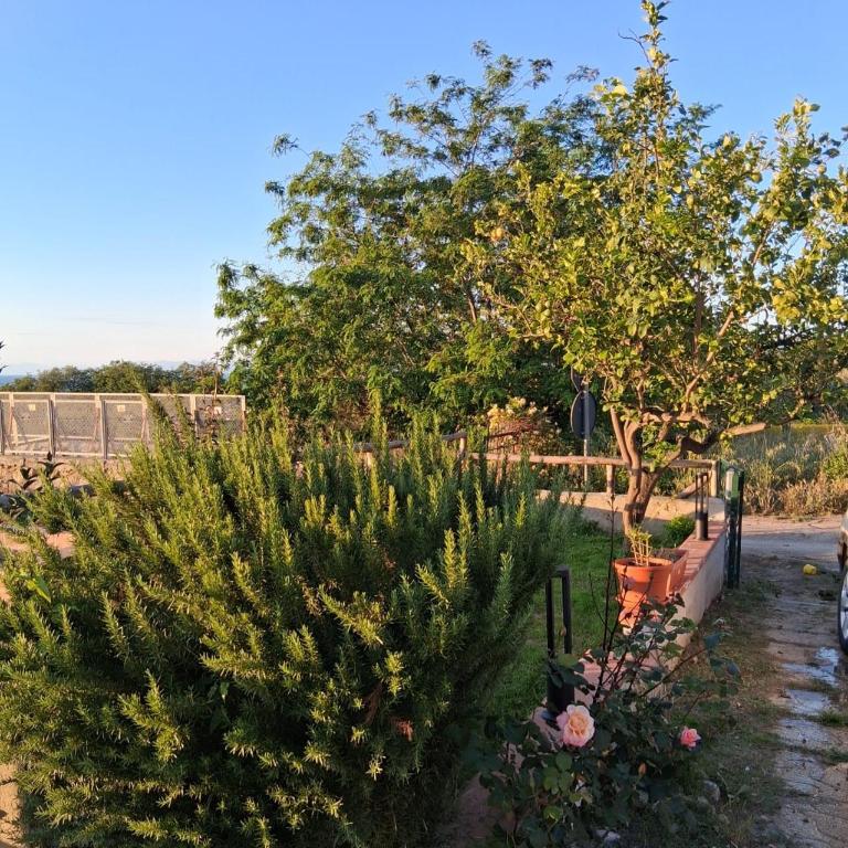 Villa Arianna Tropea - Two-Bedroom House - 12