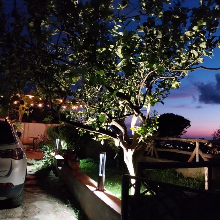 Villa Arianna Tropea - Two-Bedroom House - 17