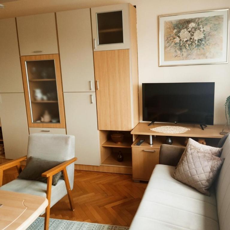 Suncani Apartman Grbavica - Apartman sa 2 Spavaće Sobe - 1