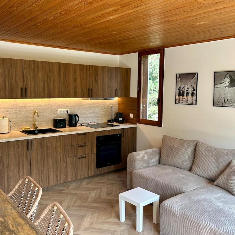 T3 appart 50 metres des pistes - Appartement 2 Chambres - 9