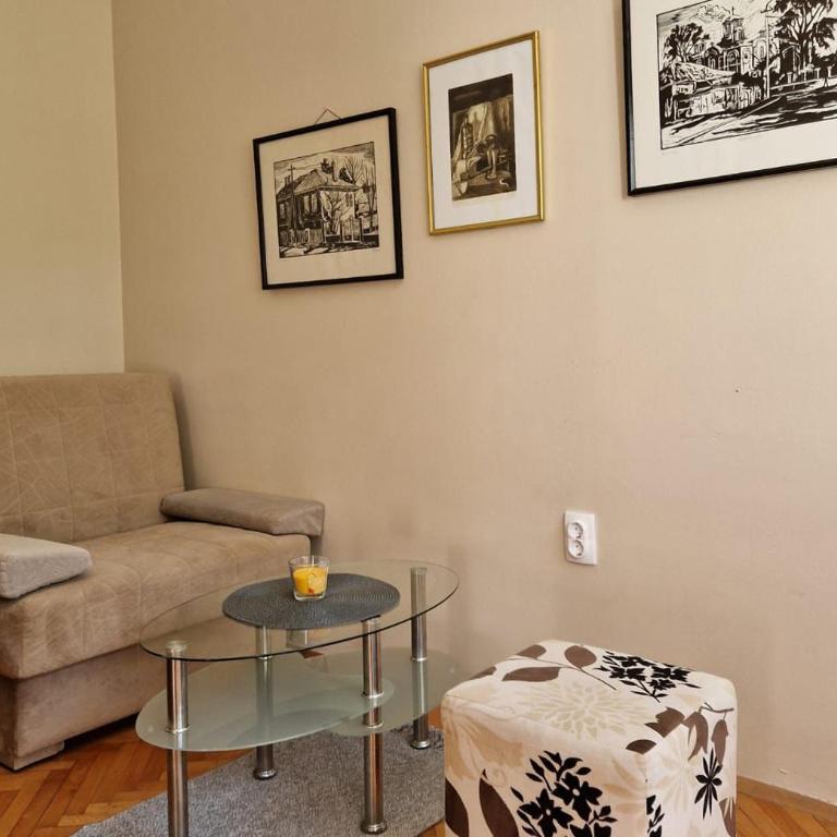 Apartmani Central Vrnjačka Banja Šetalište - One-Bedroom Apartment - 12
