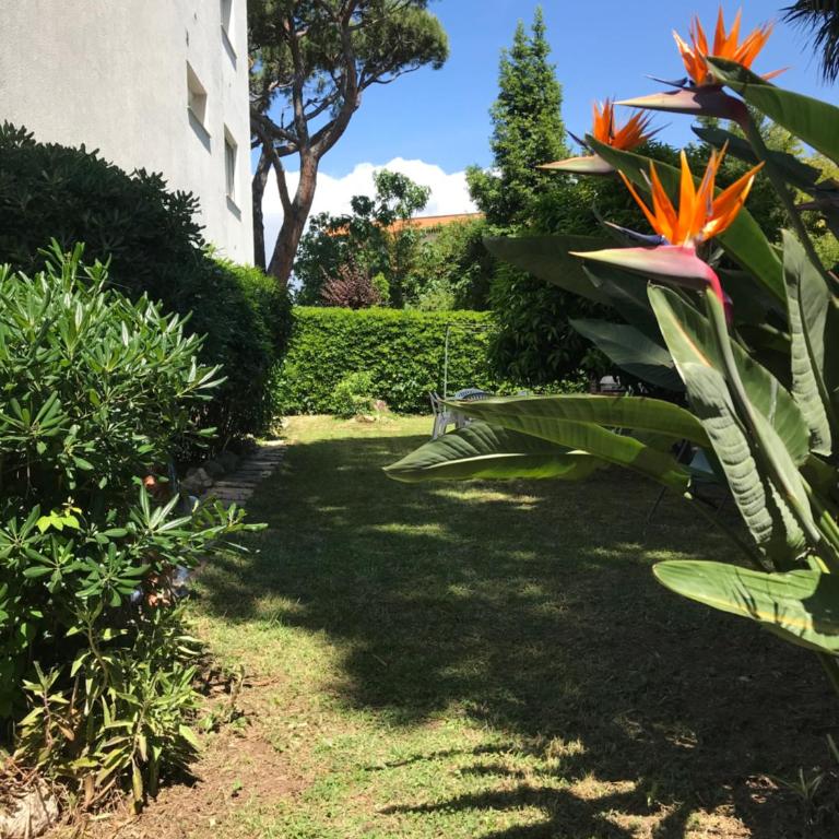 Rez de jardin en bord de mer - Apartamento - 59