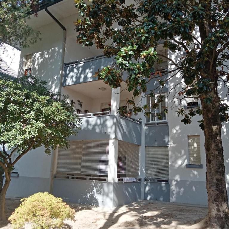 Appartamento condominio Tartana - One-Bedroom Apartment - 4
