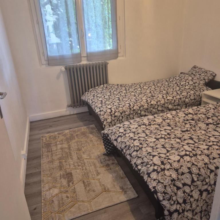 Lanfonnet t3 Annecy - Appartement 2 Chambres - 10