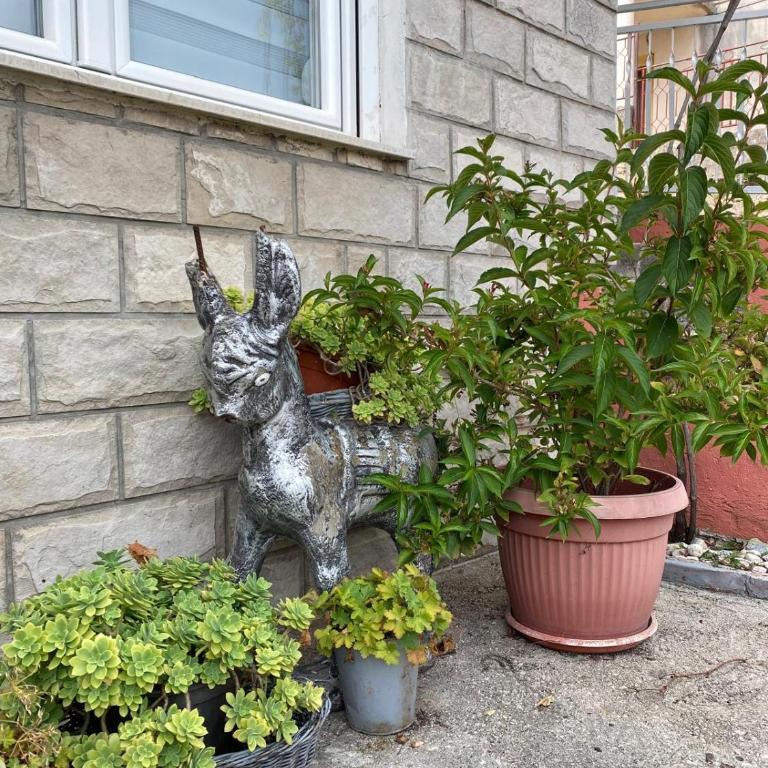 Apartments Boskovic - Apartman sa 2 Spavaće Sobe - 5