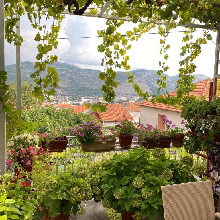 Apartments Boskovic - Apartman sa 2 Spavaće Sobe - 11