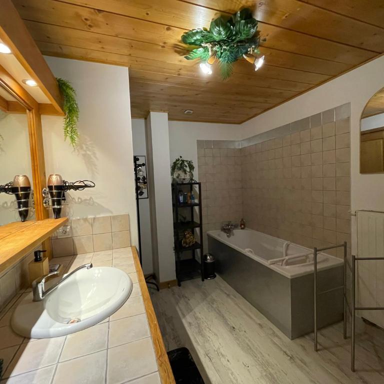 Le petit paradis au pied du Monte Blanco,jacuzzi privé, Rooftop,air de jeux - Appartement 2 Chambres - 50
