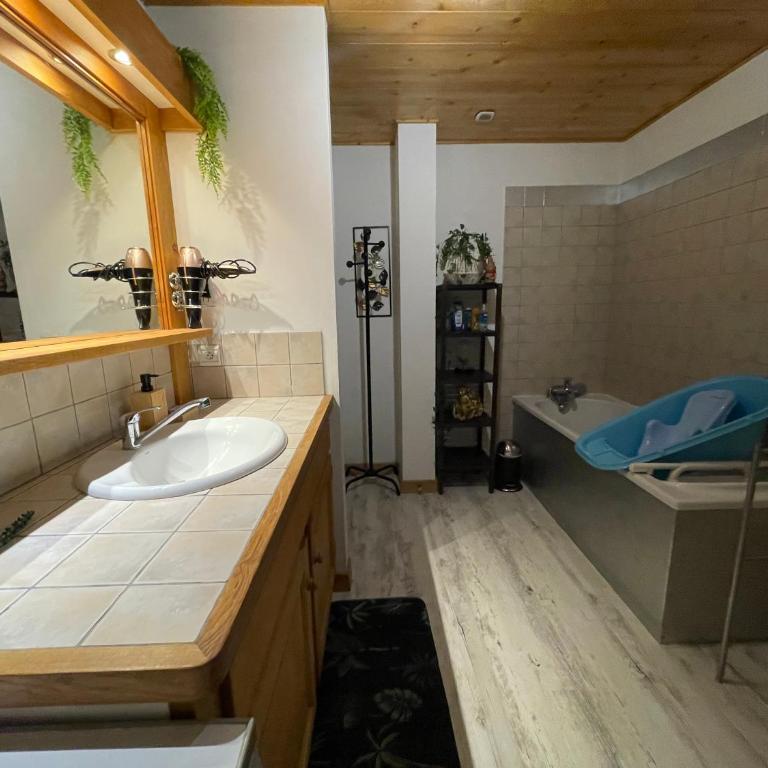 Le petit paradis au pied du Monte Blanco,jacuzzi privé, Rooftop,air de jeux - Appartement 2 Chambres - 49