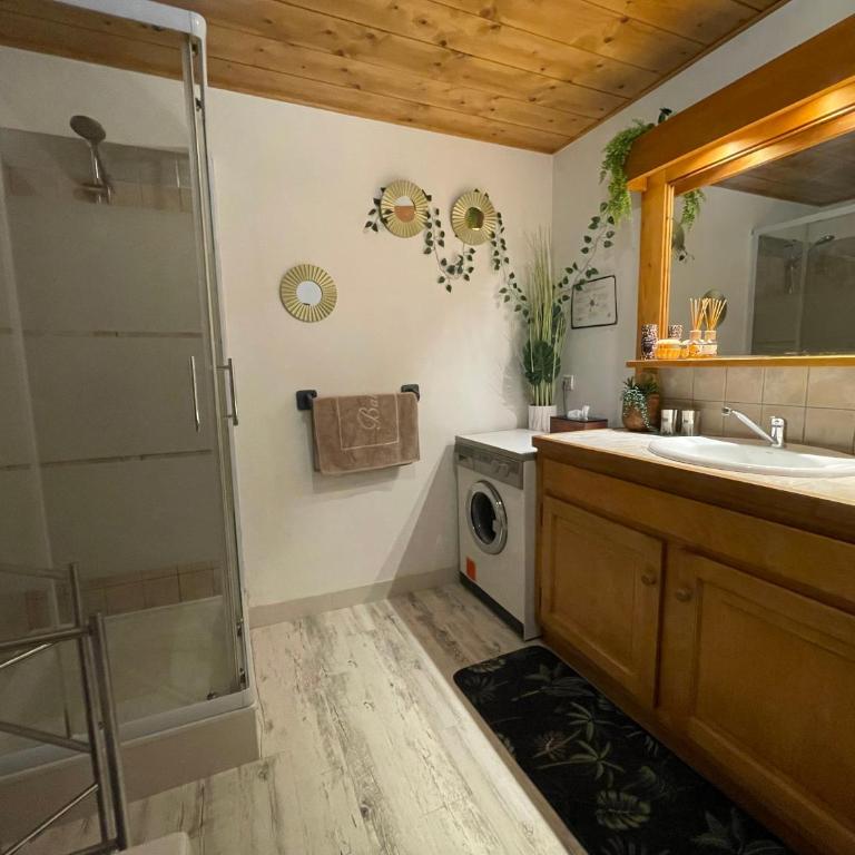 Le petit paradis au pied du Monte Blanco,jacuzzi privé, Rooftop,air de jeux - Appartement 2 Chambres - 47