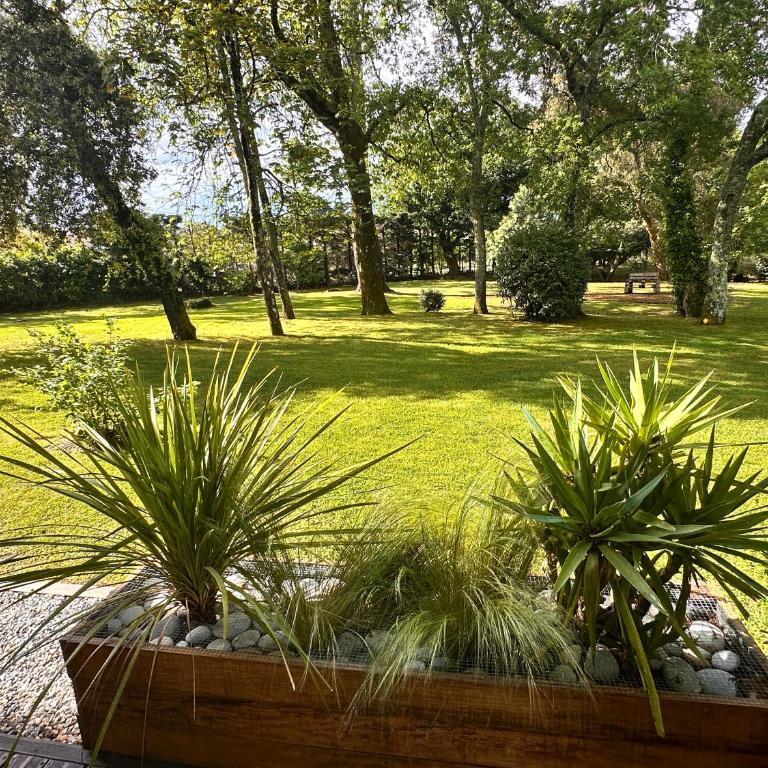 magnifique T2 vue sur parc - Apartamento de 1 dormitorio - 4