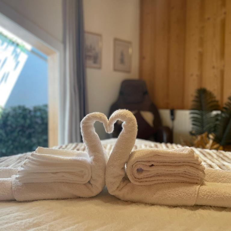 Le petit paradis au pied du Monte Blanco,jacuzzi privé, Rooftop,air de jeux - Appartement 2 Chambres - 43