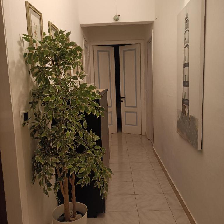 Il faro dei poeti - Appartamento - 17