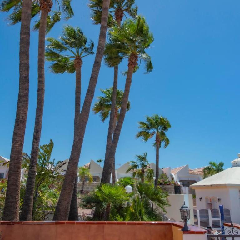 Bungalow Golf del Sur - Apartamento de 2 dormitorios - 35