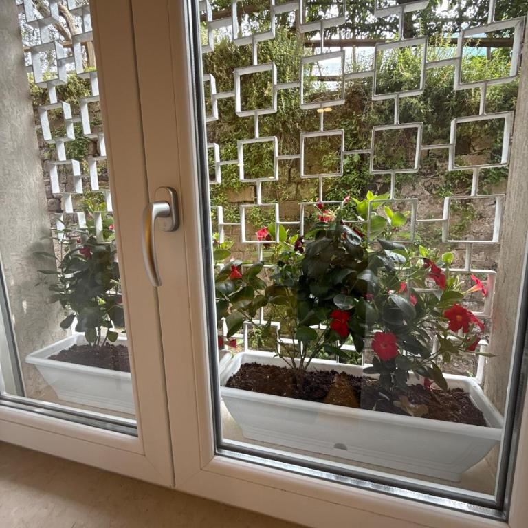 Spagnuolo Apartment Stabiae Coast - Appartamento con 2 Camere da Letto - 16