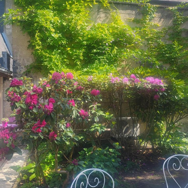 Au puits de l'abbaye - Appartement 1 Chambre - 25