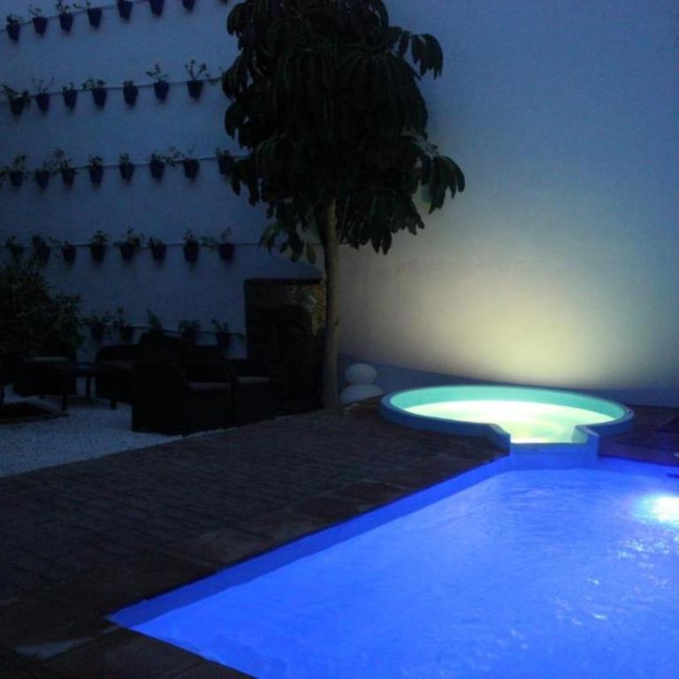 CASA PATIO LAS PALMERAs 1 Y 2 - Apartamento de 1 dormitorio - 25