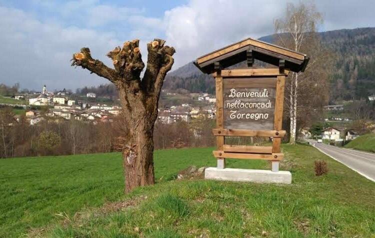 La Casina, Torcegno Trentino - Appartamento con 2 Camere da Letto - 26