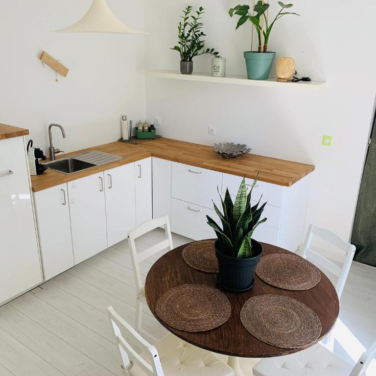 5 mn Vienne, confort et calme à la campagne - Le 2ème - Appartement 2 Chambres - 2