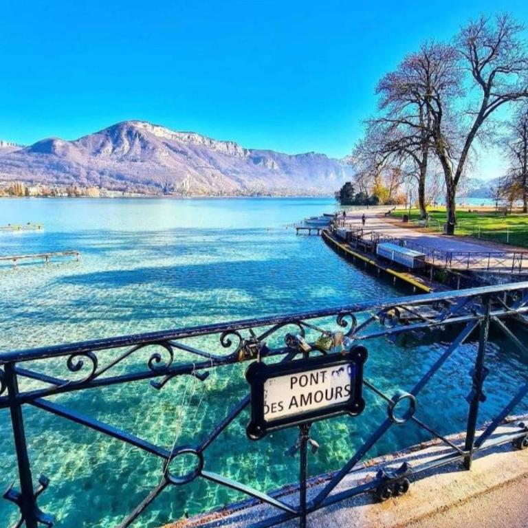 Annecy Cocoon Appart - Apartment mit 1 Schlafzimmer - 16