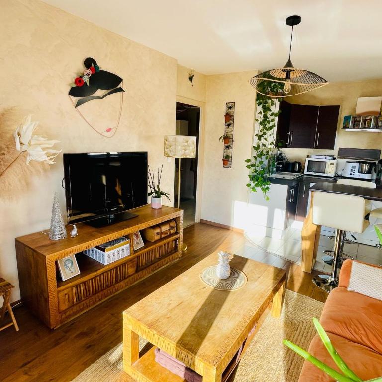 Annecy Cocoon Appart - Apartment mit 1 Schlafzimmer - 4