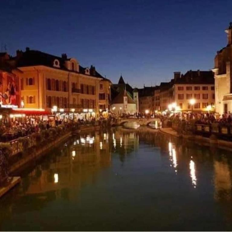 Annecy Cocoon Appart - Apartment mit 1 Schlafzimmer - 14
