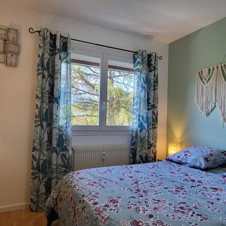 Annecy Cocoon Appart - Apartment mit 1 Schlafzimmer - 13