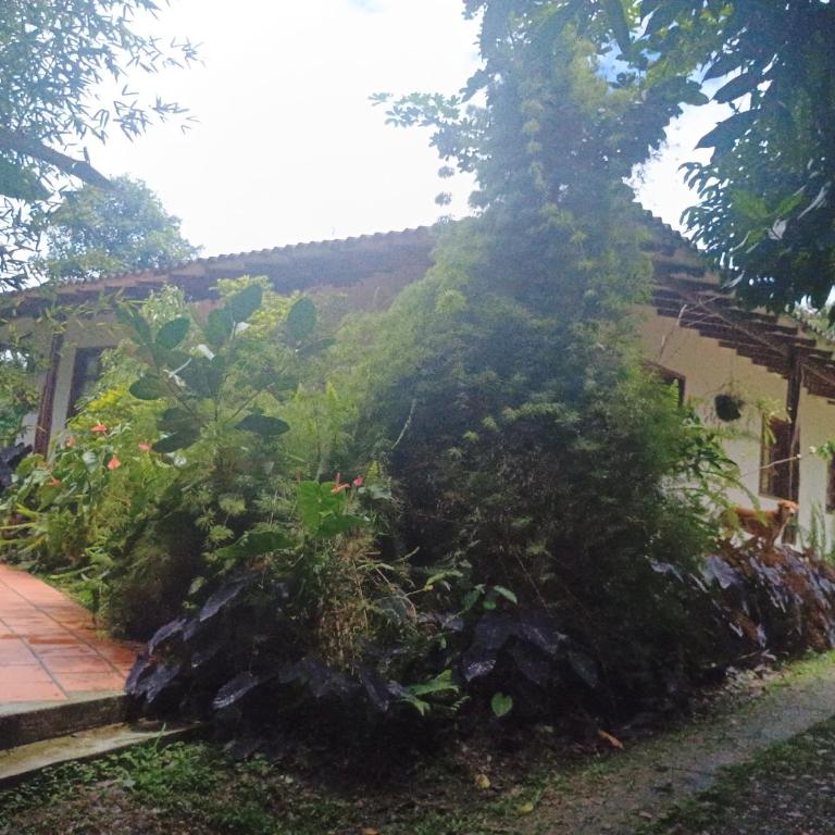 Ecopolis finca - Casa de 5 dormitorios - 1